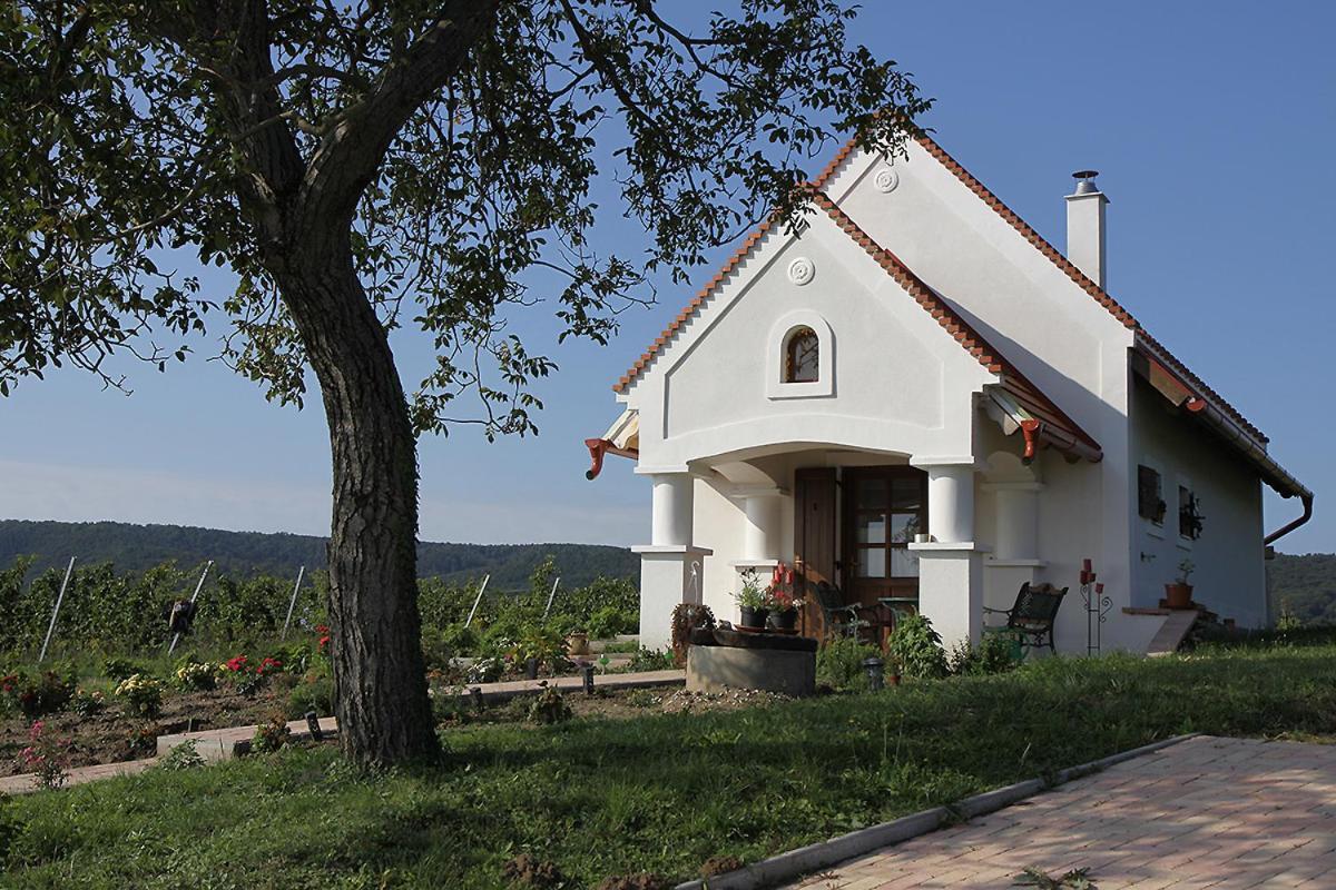 Casa Beata Villa Lesencetomaj Exterior foto