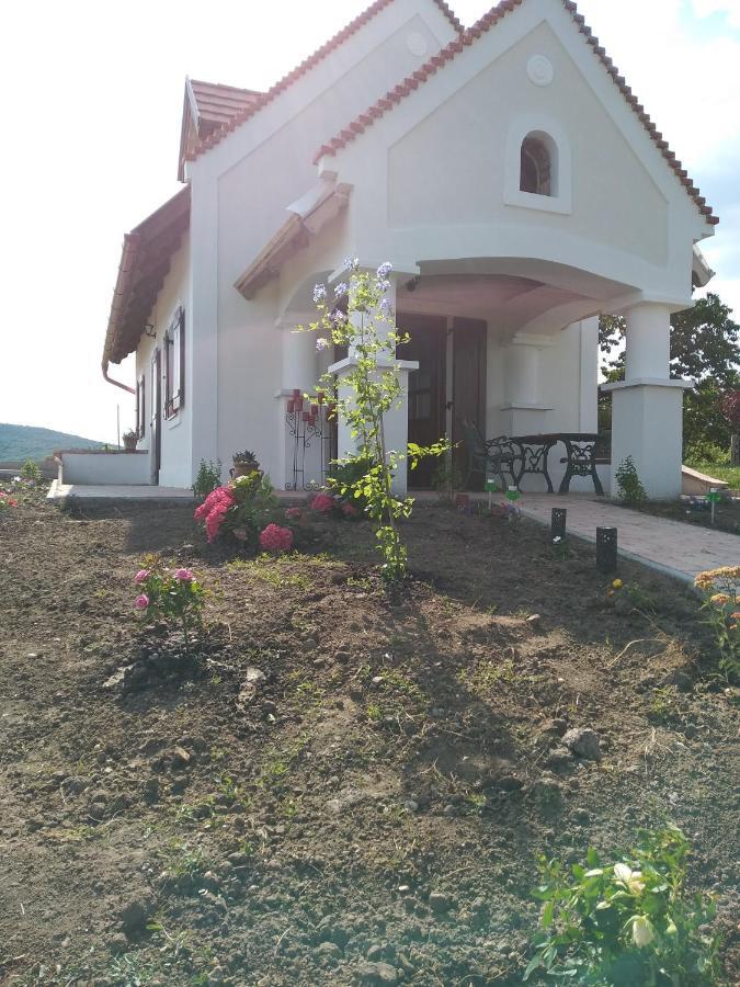 Casa Beata Villa Lesencetomaj Exterior foto